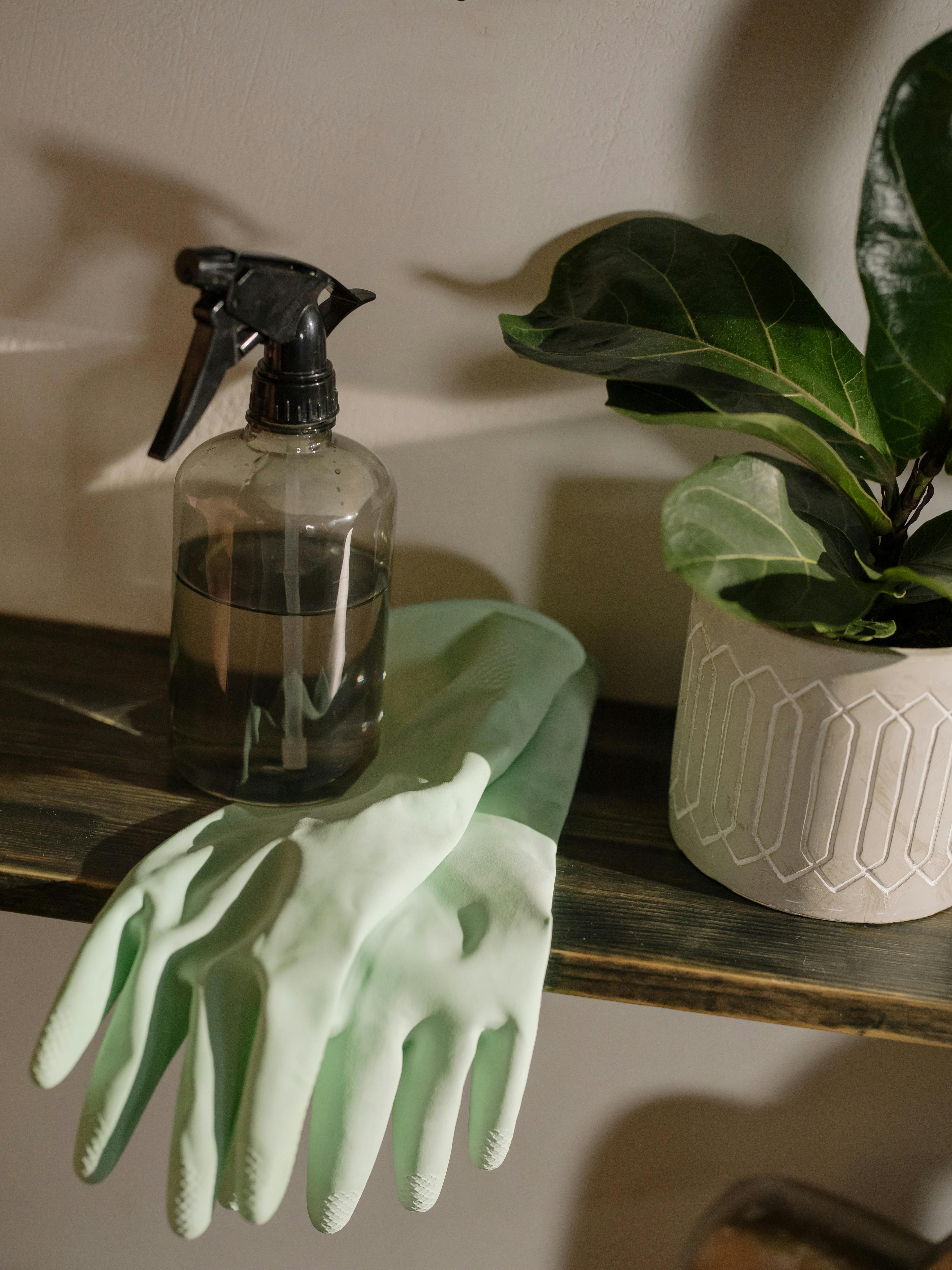 Everyday household products